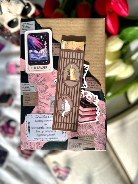 ECO Książka niespodzianka - Fantasy/Romantasy 15+ #264