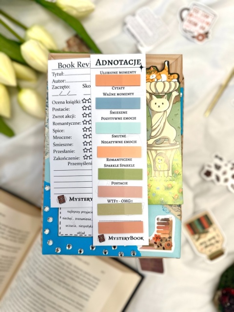 Książka niespodzianka - Literatura młodzieżowa/romans 14+ #316