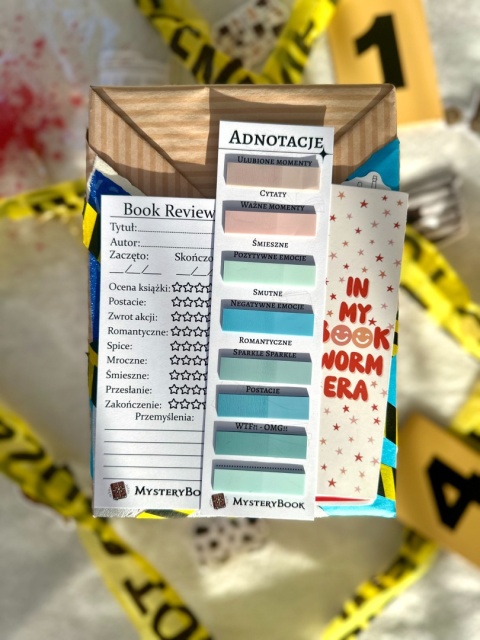 Książka niespodzianka - Literatura młodzieżowa/kryminał 12+ #212