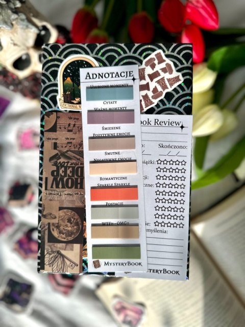 Książka po estetyce - Fantasy 16+ #282