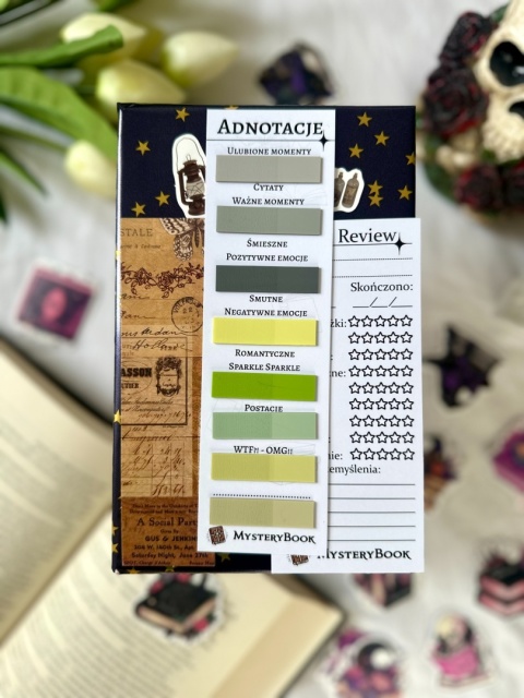 Książka po estetyce - Klasyk 16+ #333