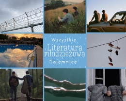 Książka po estetyce - Literatura młodzieżowa 14+ #101