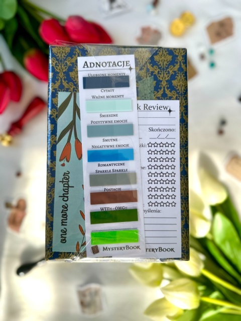 Książka po estetyce - Literatura młodzieżowa 14+ #101