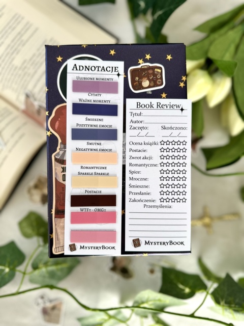 Książka po estetyce - Literatura młodzieżowa 14+ #387