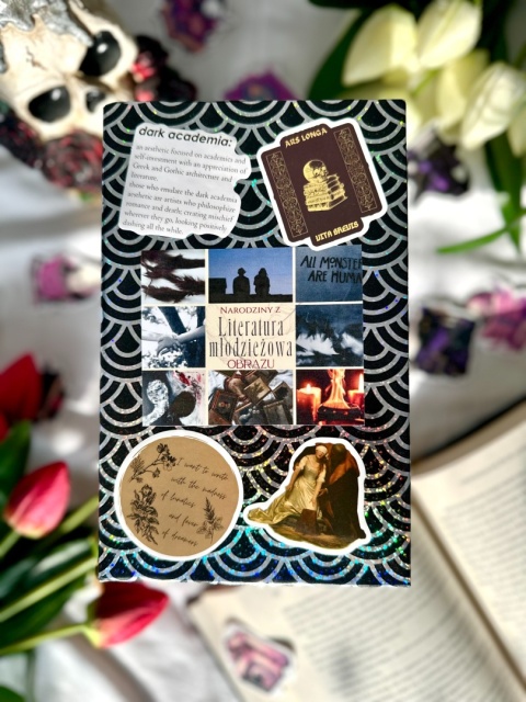 Książka po estetyce - Literatura młodzieżowa 16+ #294