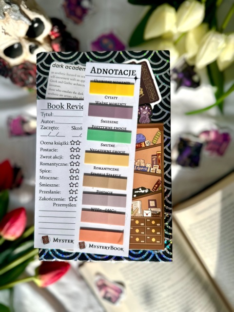 Książka po estetyce - Literatura młodzieżowa 16+ #294