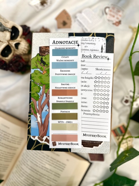 Książka po estetyce - Romantasy 16+ #261