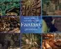 Książka po estetyce - Fantasy 15+ #545