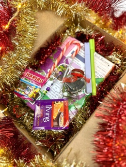 ŚWIĄTECZNY MYSTERY BOX - Romantasy 16+ #143