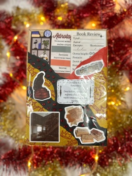 ŚWIĄTECZNY MYSTERY BOX - Romantasy 16+ #275